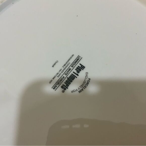 Pier 1 imports luminous White porcelain  dinner Plate 11” (Set of 5) G6 - Picture 6 of 7